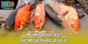 Mơ Thấy Cá Chép Là Gì? Giấc Mơ Của Tiền Bạc Và Tài Lộc
